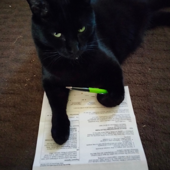 Meet your Posher, Dea D. - Picture 5 of 6